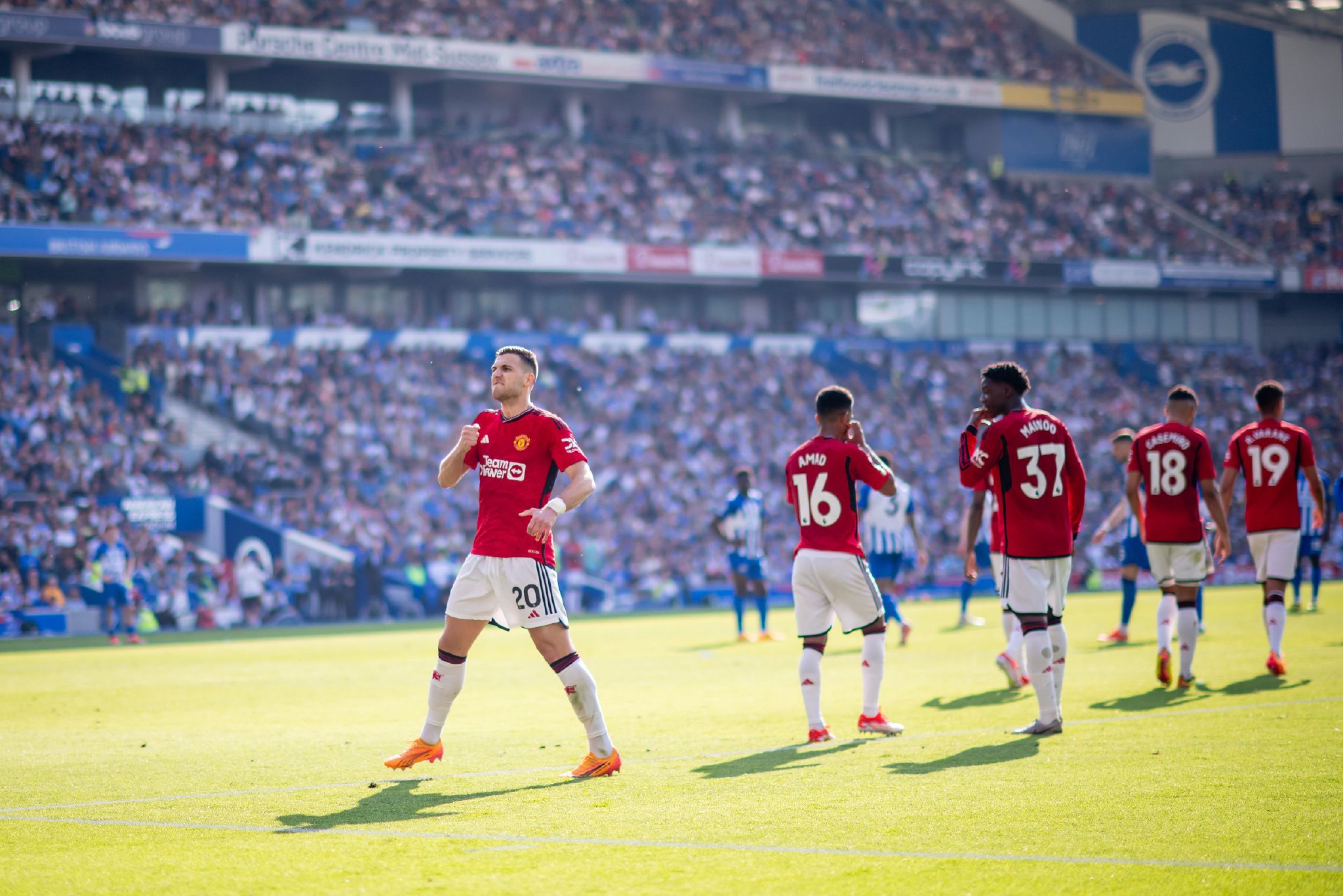 体现出极高 体现出极高